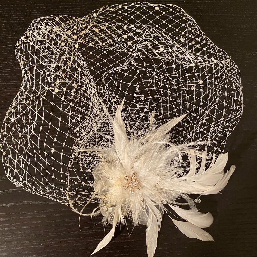 Bridal birdcage veil, crystal, CZ, beads, feathers